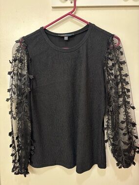 Alice Blue Black Long Sleeve Embroidered Mesh Sleeve Dress